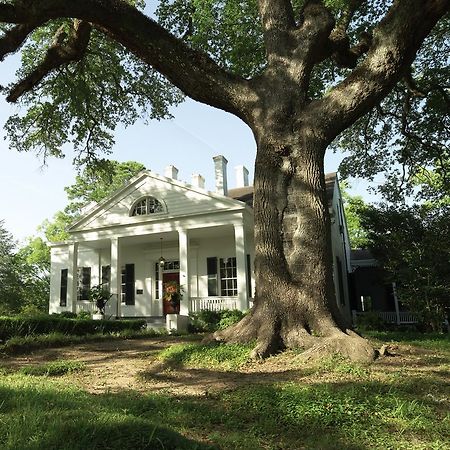Twin Oaks Inn Natchez Dış mekan fotoğraf