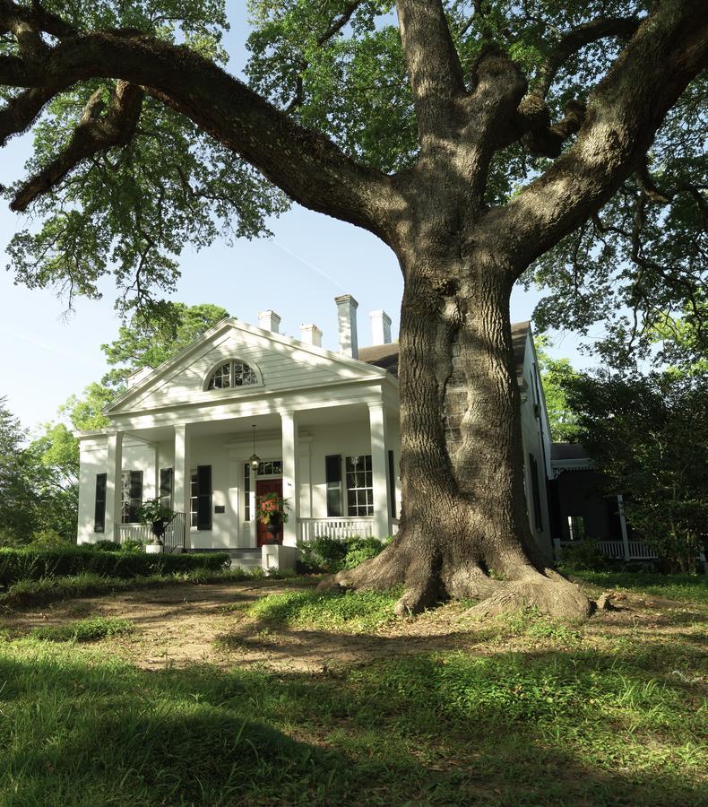 Twin Oaks Inn Natchez Dış mekan fotoğraf